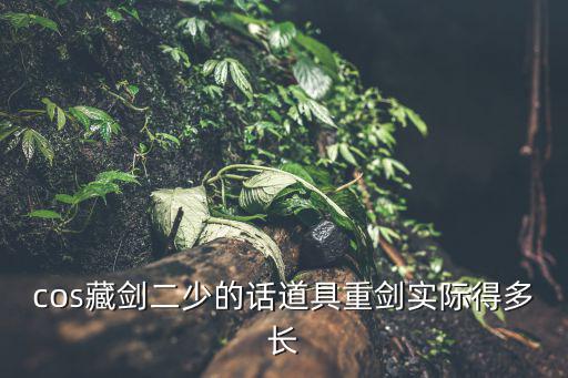 cos藏剑二少的话道具重剑实际得多长