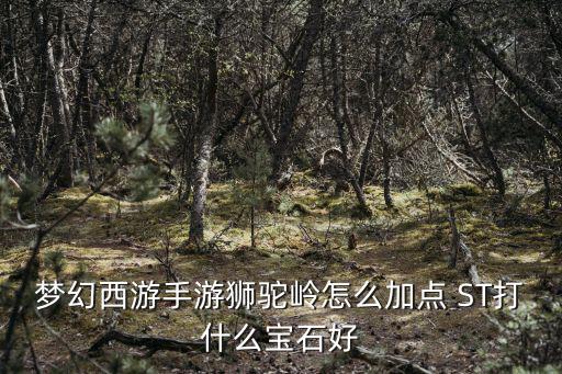 梦幻西游手游狮驼岭怎么加点 ST打什么宝石好