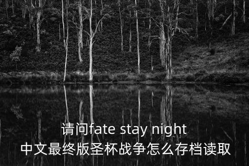 请问fate stay night 中文最终版圣杯战争怎么存档读取