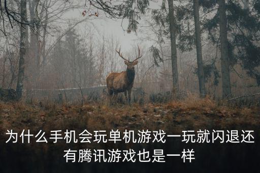 为什么手机会玩单机游戏一玩就闪退还有腾讯游戏也是一样