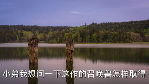 小弟我想问一下这作的召唤兽怎样取得
