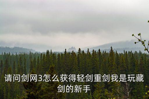 请问剑网3怎么获得轻剑重剑我是玩藏剑的新手