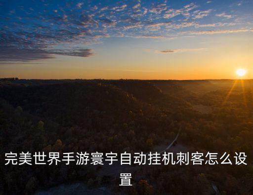 完美世界手游寰宇自动挂机刺客怎么设置