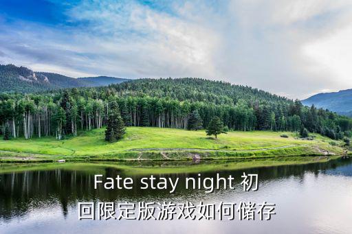 Fate stay night 初回限定版游戏如何储存