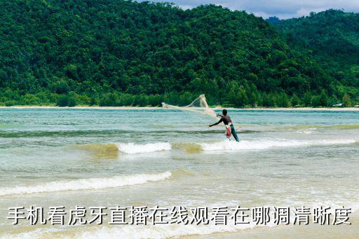 手机看虎牙直播在线观看在哪调清晰度