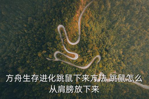 方舟手游木筏放不下去怎么办，方舟木筏怎么放地基