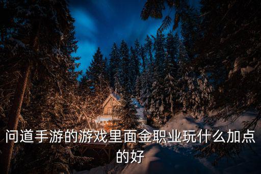 问道手游三转金刚怎么加点，问道游戏中金系怎么加点