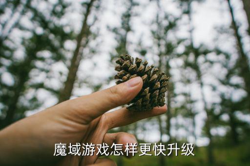 魔域游戏怎样更快升级
