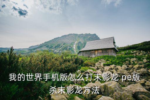 我的世界手机版怎么打末影龙 pe版杀末影龙方法