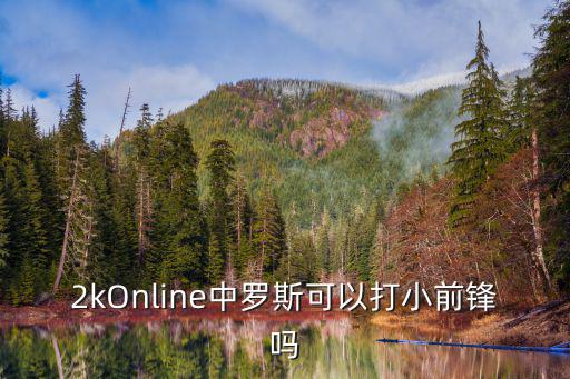 2kOnline中罗斯可以打小前锋吗