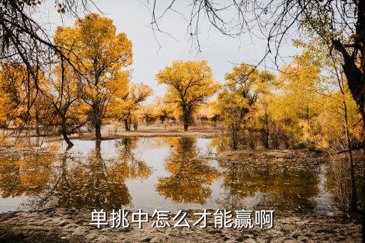 单挑中怎么才能赢啊