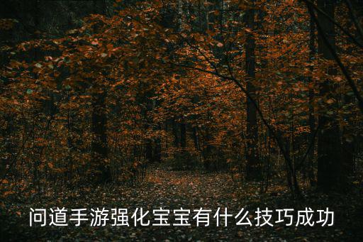 问道手游强化宝宝有什么技巧成功