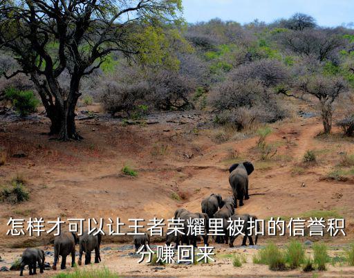 怎样才可以让王者荣耀里被扣的信誉积分赚回来