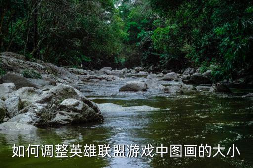 如何调整英雄联盟游戏中图画的大小
