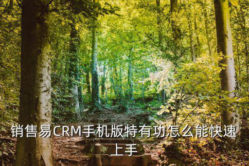 销售易CRM手机版特有功怎么能快速上手