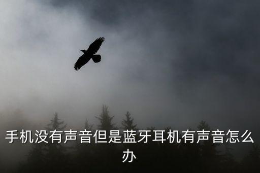 手机没有声音但是蓝牙耳机有声音怎么办