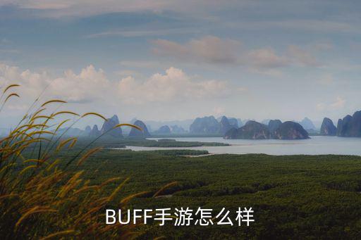 BUFF手游怎么样