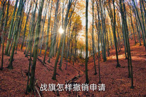 战旗怎样撤销申请
