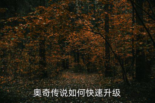 奥奇传说如何快速升级