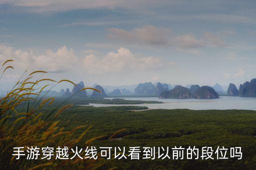 手游穿越火线可以看到以前的段位吗