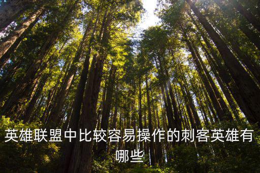 英雄联盟中比较容易操作的刺客英雄有哪些