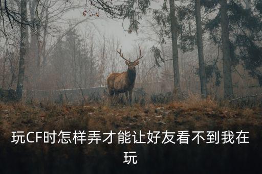玩CF时怎样弄才能让好友看不到我在玩