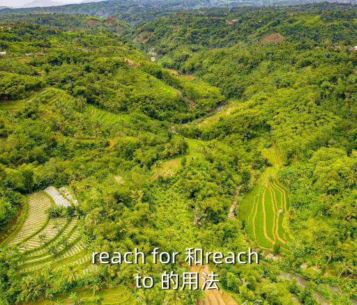 reach for 和reach to 的用法