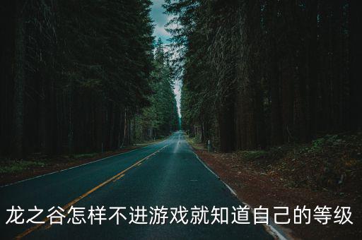 龙之谷手游怎么看等级，龙之谷手游天梯看技能等级吗