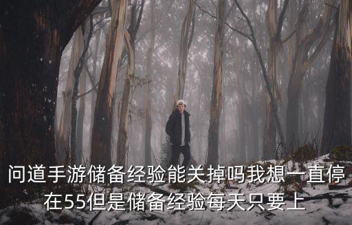 问道手游储备经验怎么算，问道游戏升级所需经验的计算规则