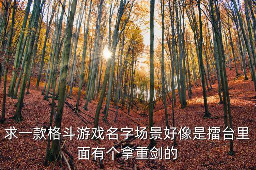 求一款格斗游戏名字场景好像是擂台里面有个拿重剑的