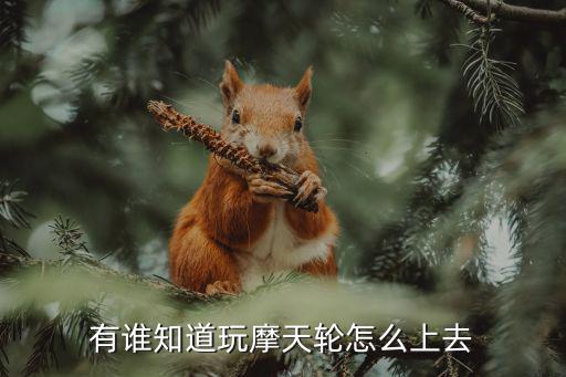 有谁知道玩摩天轮怎么上去