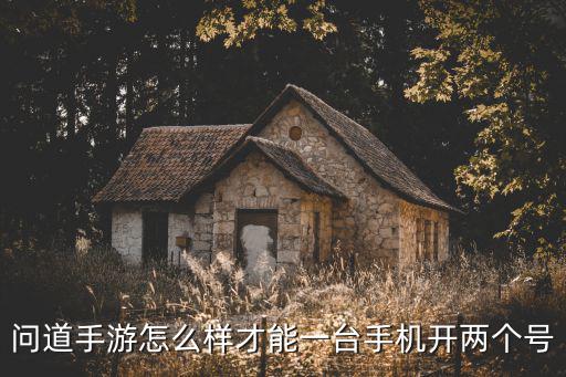 手机怎么样双开问道手游，问道手游怎么样才能一台手机开两个号