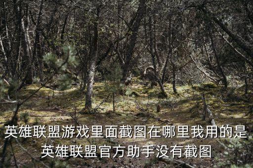 英雄联盟游戏里面截图在哪里我用的是英雄联盟官方助手没有截图