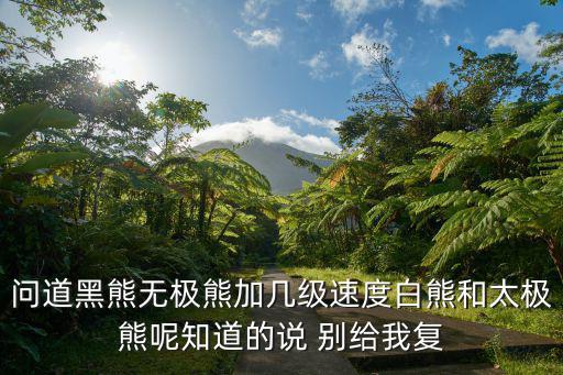 问道黑熊无极熊加几级速度白熊和太极熊呢知道的说 别给我复