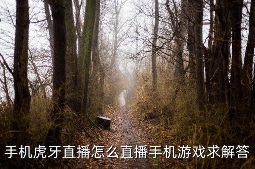 虎牙怎么直播手游是不露脸的吗，虎牙怎么直播手机游戏