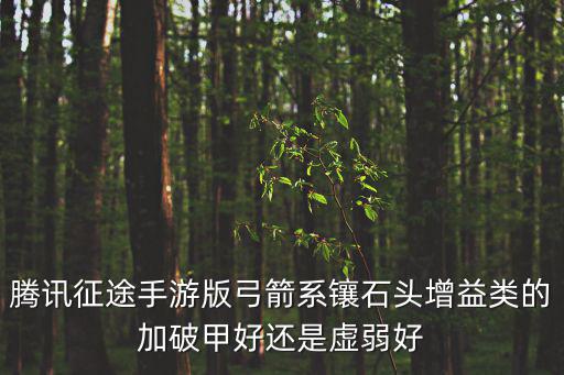腾讯征途手游版弓箭系镶石头增益类的加破甲好还是虚弱好