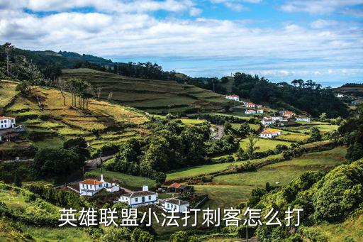 英雄联盟小法打刺客怎么打