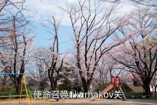 使命召唤1karhakov关