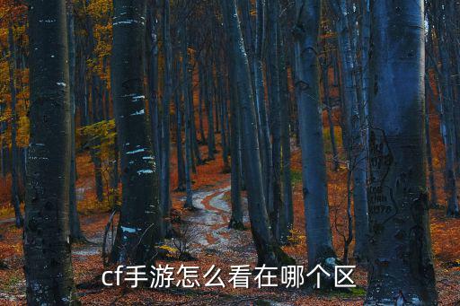 cf手游怎么看在哪个区