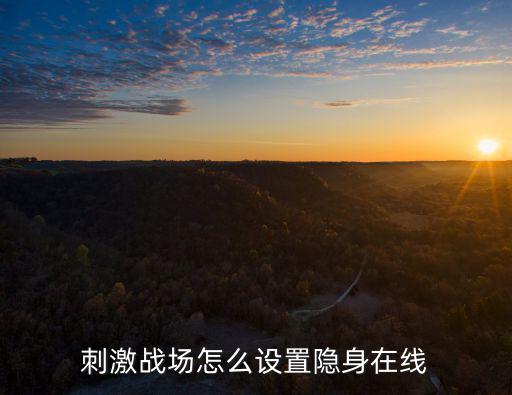 手游吃鸡怎么开启隐身状态，怎么设置隐身