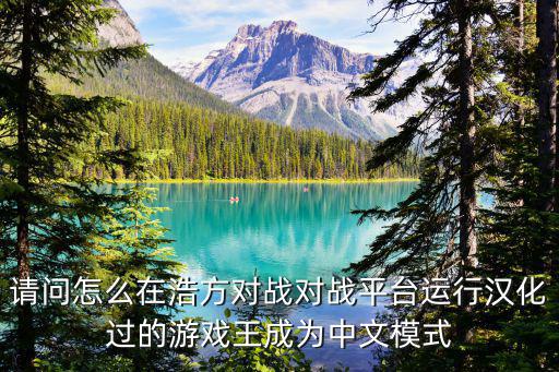 请问怎么在浩方对战对战平台运行汉化过的游戏王成为中文模式