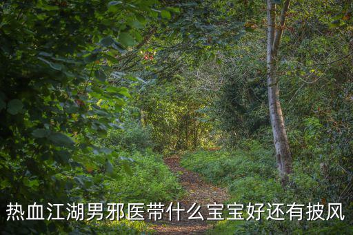 热血江湖男邪医带什么宝宝好还有披风