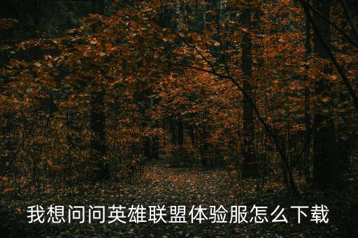 我想问问英雄联盟体验服怎么下载