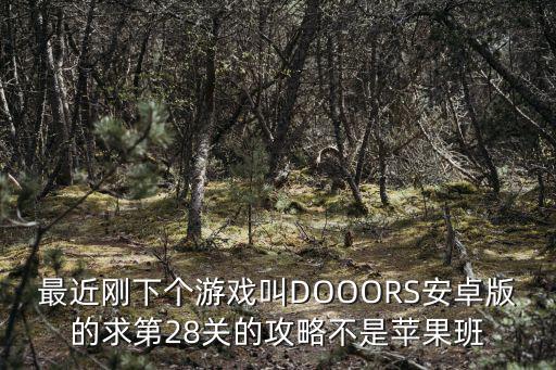 最近刚下个游戏叫DOOORS安卓版的求第28关的攻略不是苹果班