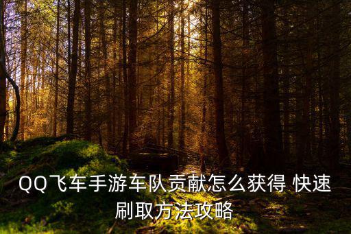 QQ飞车手游车队贡献怎么获得 快速刷取方法攻略