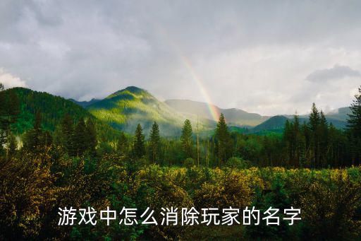 游戏中怎么消除玩家的名字