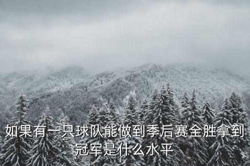 使命召唤手游怎么拿到全胜百强，如果有一只球队能做到季后赛全胜拿到冠军是什么水平
