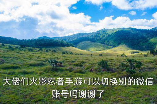 大佬们火影忍者手游可以切换别的微信账号吗谢谢了