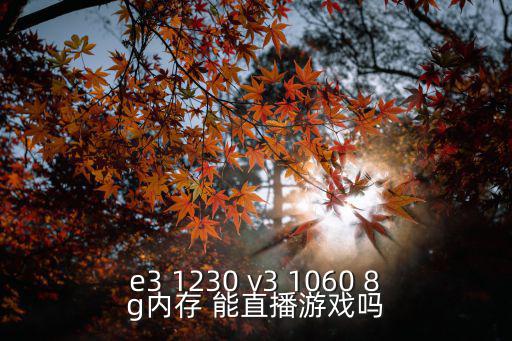 e3 1230 v3 1060 8g内存 能直播游戏吗