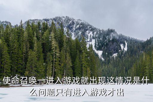 使命召唤一进入游戏就出现这情况是什么问题只有进入游戏才出